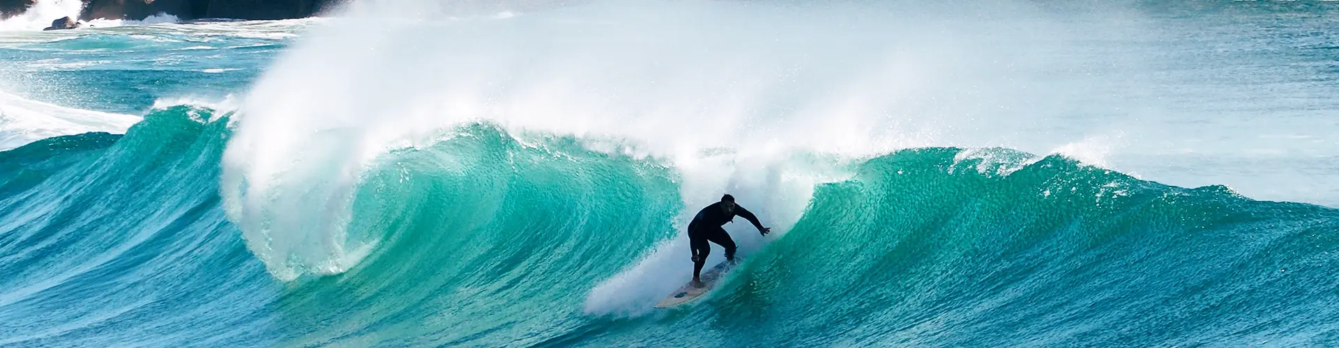 surfer surfer